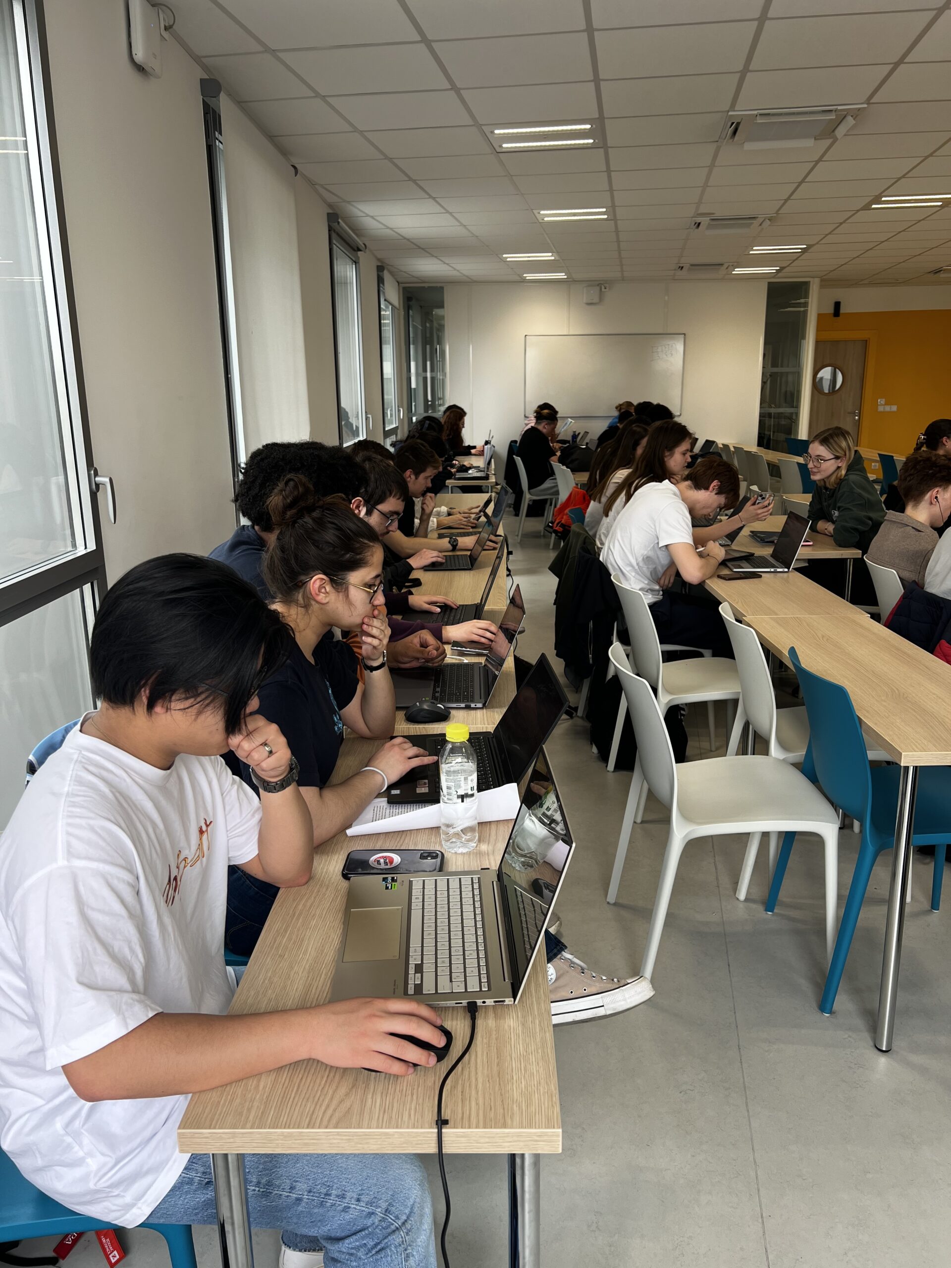 Les étudiants impliqués dans le projet collaboratif BLOG A CIEL OUVERT